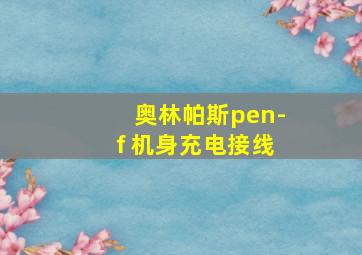 奥林帕斯pen-f 机身充电接线